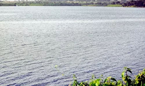 वाड़ी के एसटीपी से अंबाझरी की होगी सुरक्षा, थमेगा प्रदूषण वाड़ी के एसटीपी से अंबाझरी की होगी सुरक्षा, थमेगा प्रदूषण