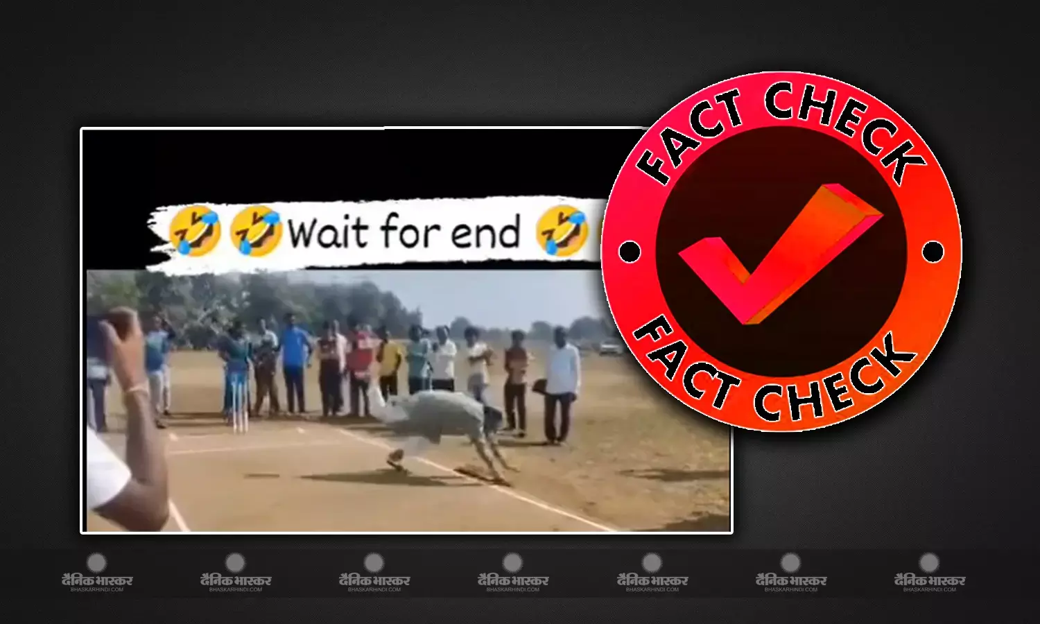 क्या बल्लेबाजी करते हुए जमीन पर गिर गए राजस्थान के मुख्यमंत्री? जानिए वायरल दावे का सच