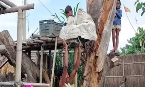 भारत के इस गांव में घरों की बजाए पेड़ पर रहते हैं लोग, कारण जानकर रह जाएंगे दंग