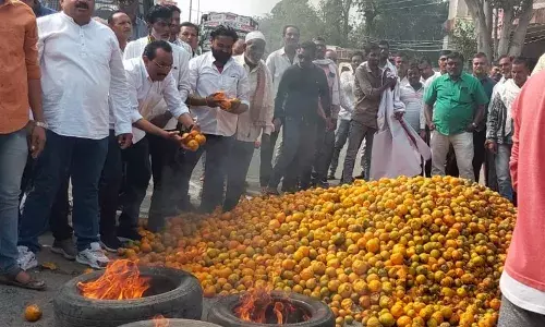 किसानों में आक्रोश: सड़क पर फेंके संतरे और जलाए टायर किसानों में आक्रोश: सड़क पर फेंके संतरे और जलाए टायर
