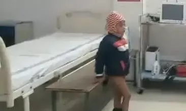 ग्राम जरधोबा में पागल कुत्ते का आतंक, मासूम को बुरी तरह काटा ग्राम जरधोबा में पागल कुत्ते का आतंक, मासूम को बुरी तरह काटा