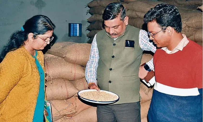 शहपुरा के दो गोदामों में पहुँची भोपाल की टीम को मिलीं सवा लाख मिलावटी धान की बोरियाँ