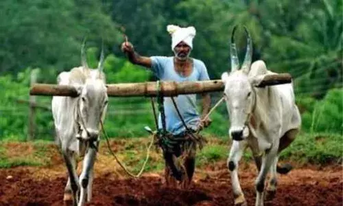 अतिवृष्टि से फसल नुकसान के मुआवजे का आज भी किसानों को बेसब्री से है इंतजार