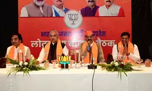 मध्य प्रदेश में भाजपा का लोकसभा चुनाव को लेकर मंथन