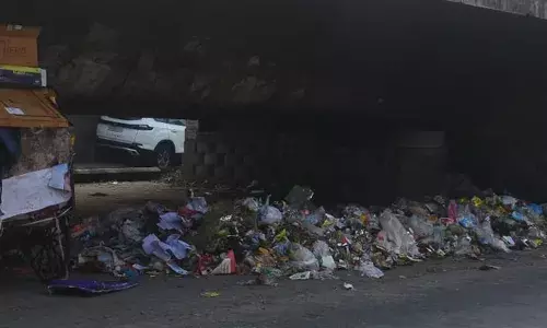 स्वच्छता सर्वेक्षण में देश में 124 और राज्य में 25वें स्थान पर अमरावती शहर
