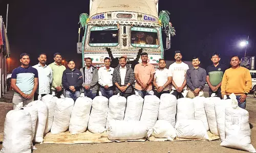 कंटेनर में भरकर ले जा रहा 49.56 लाख रुपए का 495 किलो 600 ग्राम गांजा जब्त