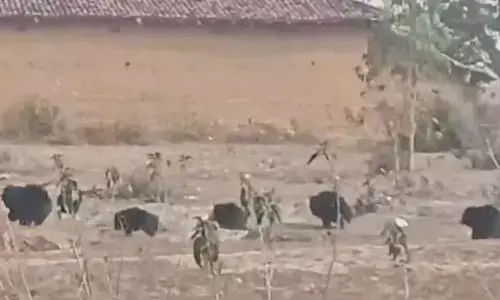क्या अयोध्या में रामलला के दर्शन के लिए जामवंत की सेना जुटी है? जानें वायरल वीडियो का सच क्या अयोध्या में रामलला के दर्शन के लिए जामवंत की सेना जुटी है? जानें वायरल वीडियो का सच