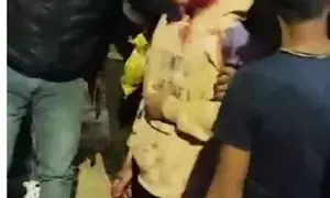 देहरादून में दिखे 3 बाघ, कैनाल रोड पर 12 साल के बच्चे पर किया हमला, घायल बच्चा दून अस्पताल में भर्ती
