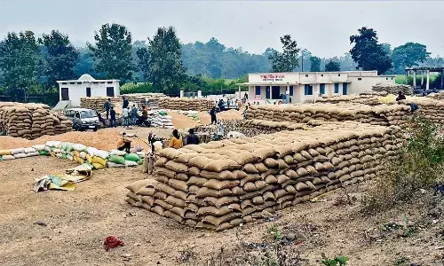 धान की खरीदी के दौरान जाँच में संदिग्ध मिला सिकमीनामा