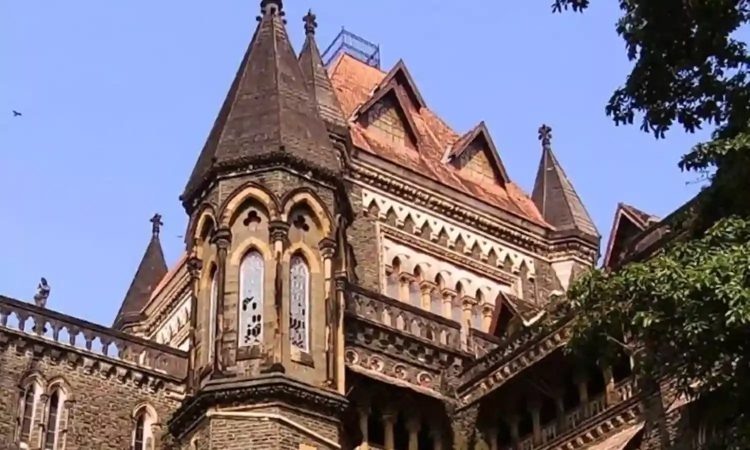 मुंबई पुलिस को लगाई फटकार, विदेशी महिला के केस से जुड़ी फाइल अपने अधिकार में ली