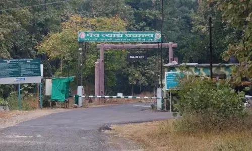 अब वॉक विथ रेंजर  के साथ पेंच फारेस्ट में पैदल सफारी का आनंद ले सकेंगे पर्यटक अब वॉक विथ रेंजर  के साथ पेंच फारेस्ट में पैदल सफारी का आनंद ले सकेंगे पर्यटक