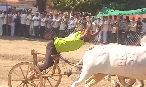 अमरावती के तलेगांव दशासर में शंकर पट , बब्बर-बादशाह की जोड़ी एक दानी बनी विजेता अमरावती के तलेगांव दशासर में शंकर पट , बब्बर-बादशाह की जोड़ी एक दानी बनी विजेता