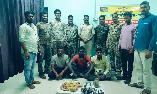 वन विभाग ने मोर का शिकार करने वाले तीन आरोपियों को मांस के साथ किया गिरफ्तार