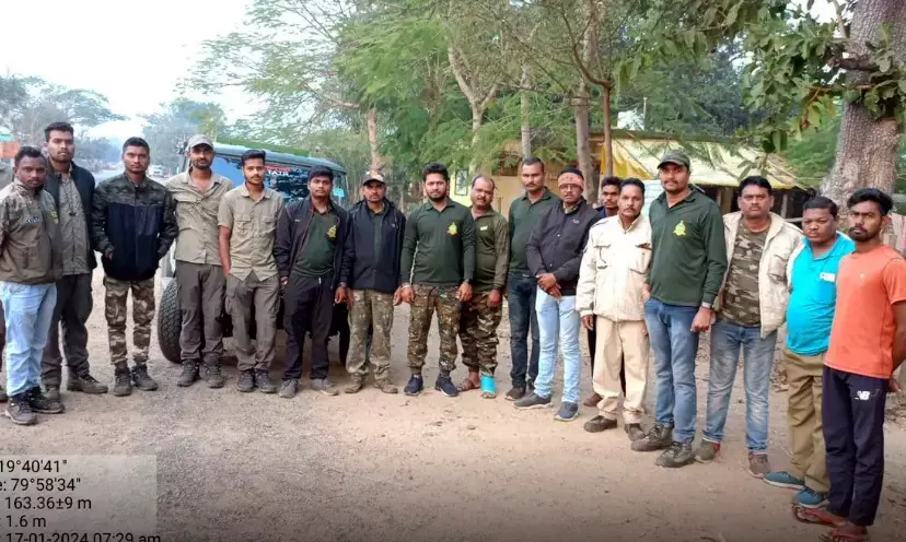 नरभक्षी बाघ को पकड़ने आरआरटी की टीम मुलचेरा में दाखिल,  2 महिलाओं को बना चुका है शिकार