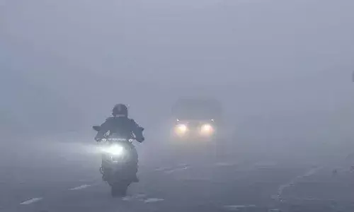 कड़ाके की ठंड से ठिठुर रहा मध्यप्रदेश, कम होते तापमान ने बढ़ाई किसानों की चिंता, मौसम विभाग ने जारी किया अलर्ट