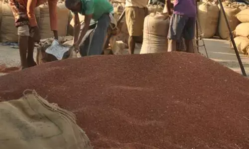 अमरावती कृषि मंडी में पहली बार 10 हजार के करीब पहुंची तुअर, किसानों में हर्ष