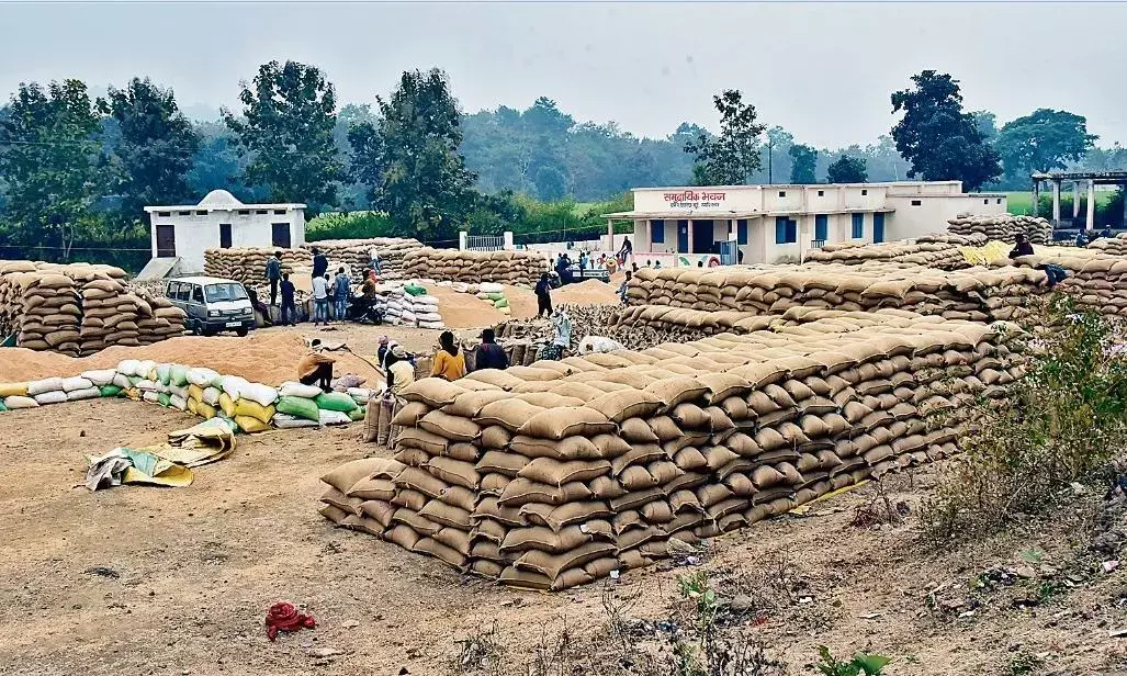 वेयर हाउस में 96 की खरीदी दिखाई लेकिन मिली 50 हजार क्विंटल धान