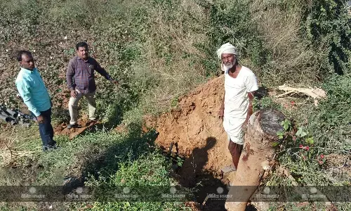 एक रात में १९ बकरी और दो बछड़ों का शिकार, गांवों में दहशत एक रात में १९ बकरी और दो बछड़ों का शिकार, गांवों में दहशत