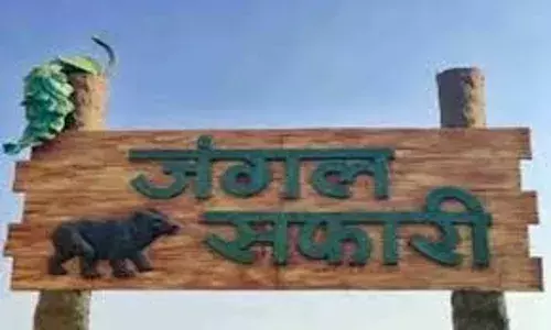 टाइगर रिजर्व में पर्यटकों के लिए शीघ्र आएंगे इलेक्ट्रिक वाहन, प्रदूषण होगा कम