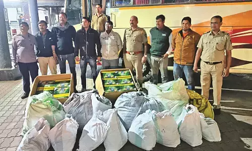 ट्रैवल्स बस से हो रही तंबाकू, गुटखा तस्करी का पर्दाफाश , पुलिस ने दबोचा, मामला दर्ज