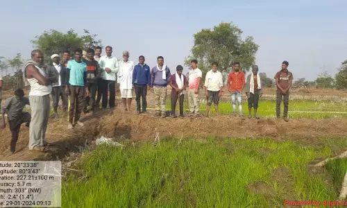 परेशान हो रहे किसान , झुंड से भटके दो हाथियों ने फिर उजाड़ दी धान की फसलें परेशान हो रहे किसान , झुंड से भटके दो हाथियों ने फिर उजाड़ दी धान की फसलें