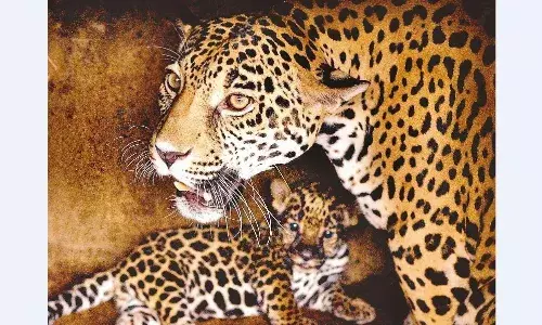 नयागाँव सोसायटी में हर दिन हो रहा मूवमेंट, लोगों में दहशत