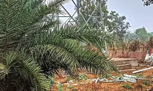 गड़चिरोली में संचार क्रांति, अब नक्सल प्रभावित इलाकों में भी बजेगी फोन की घंटी