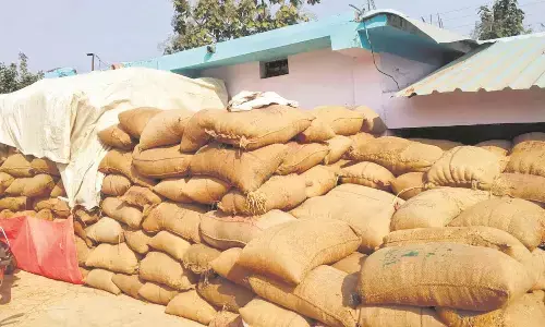 सरकारी धान खरीदी का अंतिम दिन, अब तक खरीदा गया 23 लाख 16 हजार क्विंटल सरकारी धान खरीदी का अंतिम दिन, अब तक खरीदा गया 23 लाख 16 हजार क्विंटल