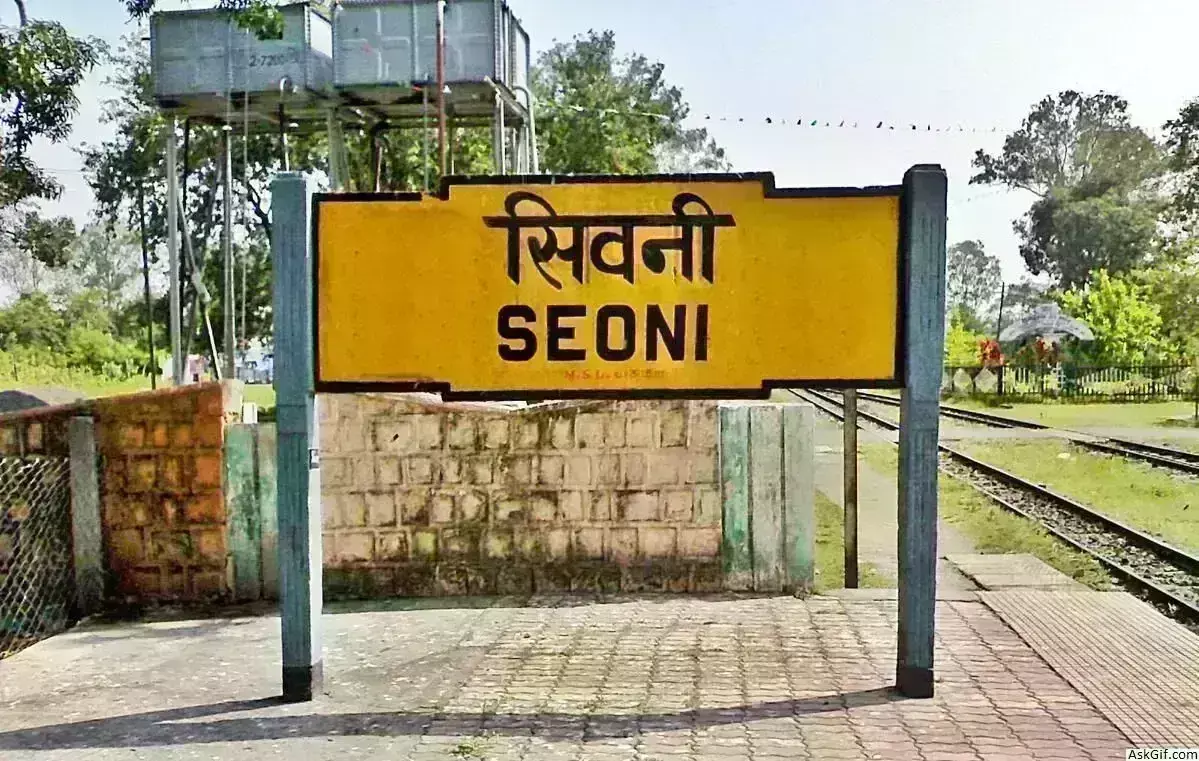 पेंच से तीन बाघिन बाहर हो सकती है शिफ्ट, एनटीसीए ने पहचान के लिए लिखा पत्र