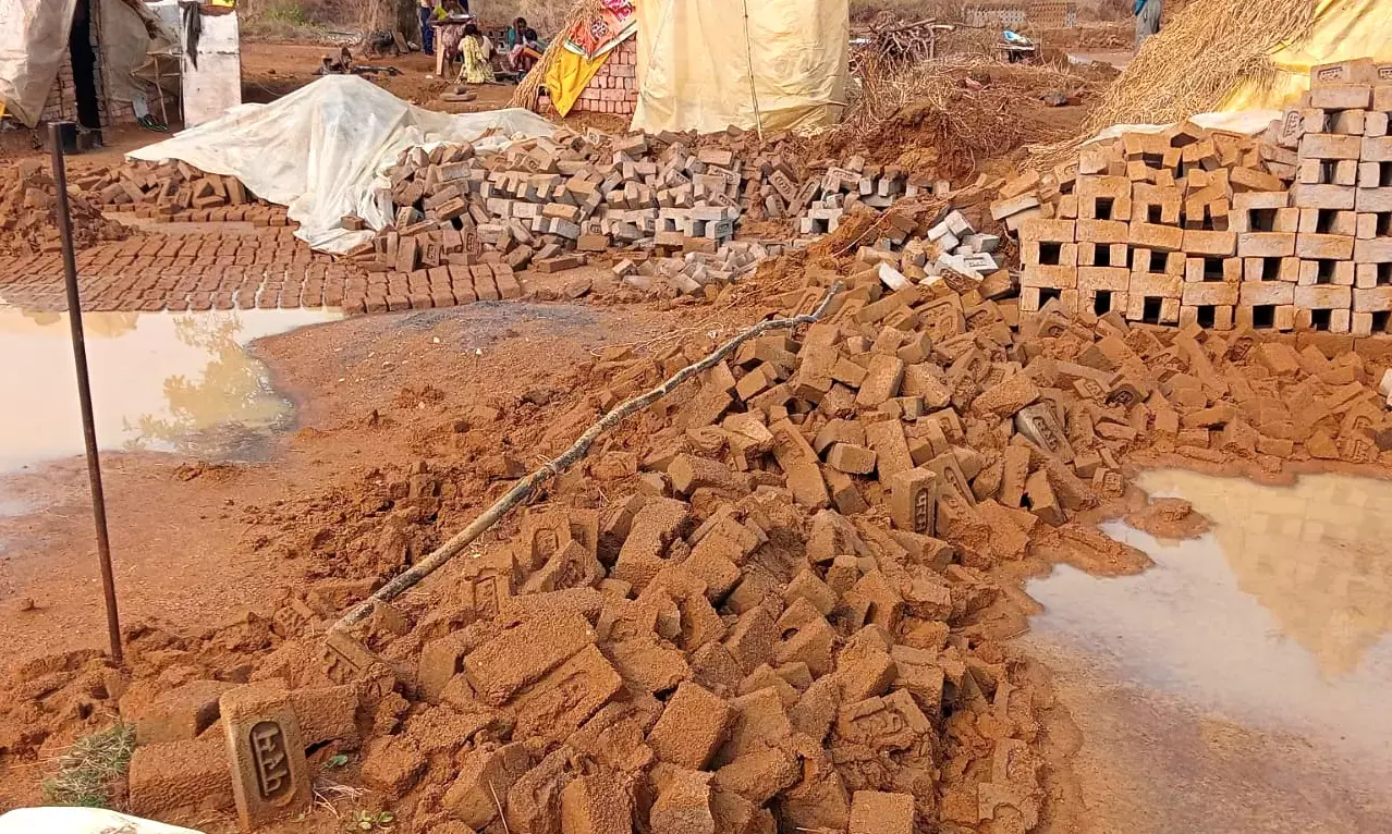 गड़चिरोली में बेमौसम बारिश से ईंटों के साथ रबी फसलों को हुआ भारी नुकसान