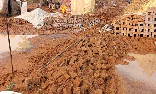 गड़चिरोली में बेमौसम बारिश से ईंटों के साथ रबी फसलों को हुआ भारी नुकसान