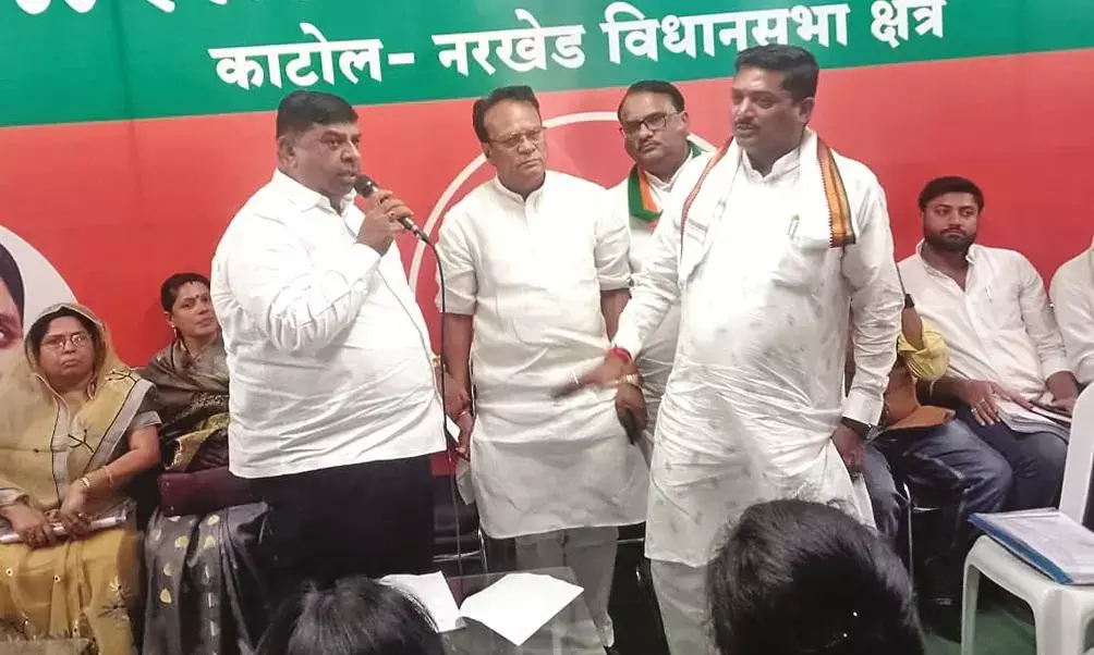भाजपा का गांव-गांव व घर-घर चलो अभियान, फडणवीस के हाथों विकास कार्यों का भूमिपूजन