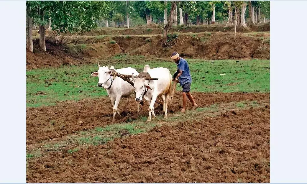 समर्थन मूल्य पर गेहूँ उपार्जन के लिए किसानों का पंजीयन आज से