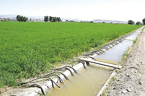 200 करोड़ रुपए खर्च कर तैयार की गई धापेवाड़ा सिंचाई परियोजना बनी सफेद हाथी 200 करोड़ रुपए खर्च कर तैयार की गई धापेवाड़ा सिंचाई परियोजना बनी सफेद हाथी