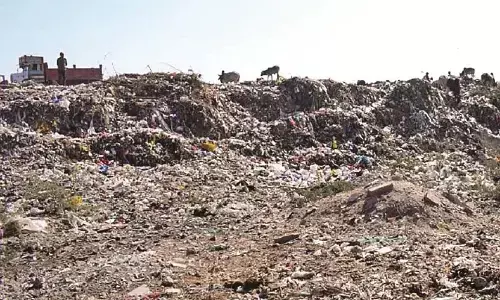 नहीं मिल रही डम्पिंग यार्ड के लिए जमीन, किराए की जमीन पर फेंक रहे कचरा नहीं मिल रही डम्पिंग यार्ड के लिए जमीन, किराए की जमीन पर फेंक रहे कचरा