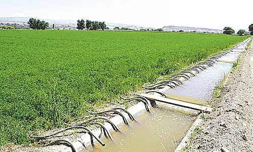 200 करोड़ रुपए खर्च कर तैयार की गई धापेवाड़ा सिंचाई परियोजना बनी सफेद हाथी