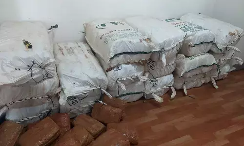 ट्रक में भरकर ले जा रहा करीब 2 करोड़ का गांजा जब्त , डीआरआई की बड़ी कार्रवाई