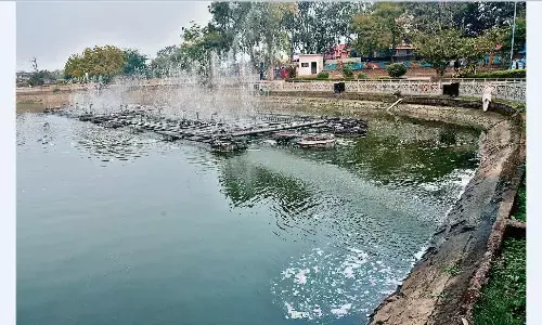 गुलौआ ताल का एसटीपी बंद, मिल रहा गंदा पानी