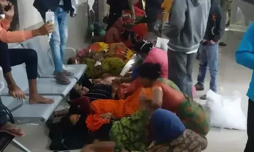 एकादशी पर बालुमामा की निकली पालकी, महाप्रसाद में भगर और कढ़ी खाते ही विषबाधा