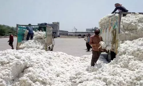 सीसीआई ने रखी शर्त : 7/12 में बुआई का उल्लेख होने पर ही खरीदा जाएगा कपास सीसीआई ने रखी शर्त : 7/12 में बुआई का उल्लेख होने पर ही खरीदा जाएगा कपास