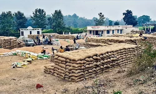 54 लाख क्विंटल धान की हो गई खरीदी, 9 सौ करोड़ का भुगतान