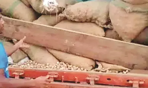 असम से आ रहा सड़ी सुपारी से लदा ट्रक पकड़ाया, 250 से अधिक बोरियों में था माल