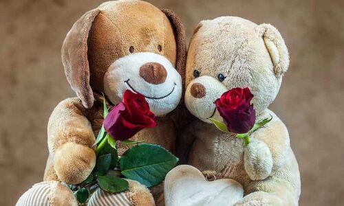 अगर आप अपने प्यार से हैं दूर तो, टेडी डे पर ये खास मैसेज भेज कर करें अपने स्पेशल वन को करें विश