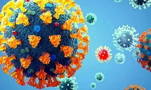 सैकड़ों बार म्यूटेट हो चुका है कोविड वायरस, केंद्रीय स्वास्थ्य मंत्री ने गंभीरता को लेकर दी जानकारी सैकड़ों बार म्यूटेट हो चुका है कोविड वायरस, केंद्रीय स्वास्थ्य मंत्री ने गंभीरता को लेकर दी जानकारी