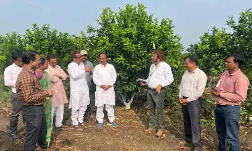 बेमौसम बारिश से 9150 हेक्टेयर क्षेत्र की फसल हुई खराब, 11700 किसान प्रभावित बेमौसम बारिश से 9150 हेक्टेयर क्षेत्र की फसल हुई खराब, 11700 किसान प्रभावित