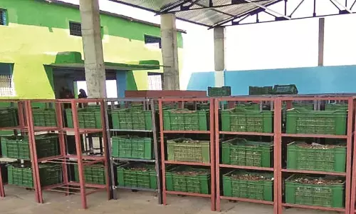 नगर परिषद ने कचरे से किया 70 हजार 200 टन जैविक खाद का निर्माण, खास है प्रक्रिया नगर परिषद ने कचरे से किया 70 हजार 200 टन जैविक खाद का निर्माण, खास है प्रक्रिया