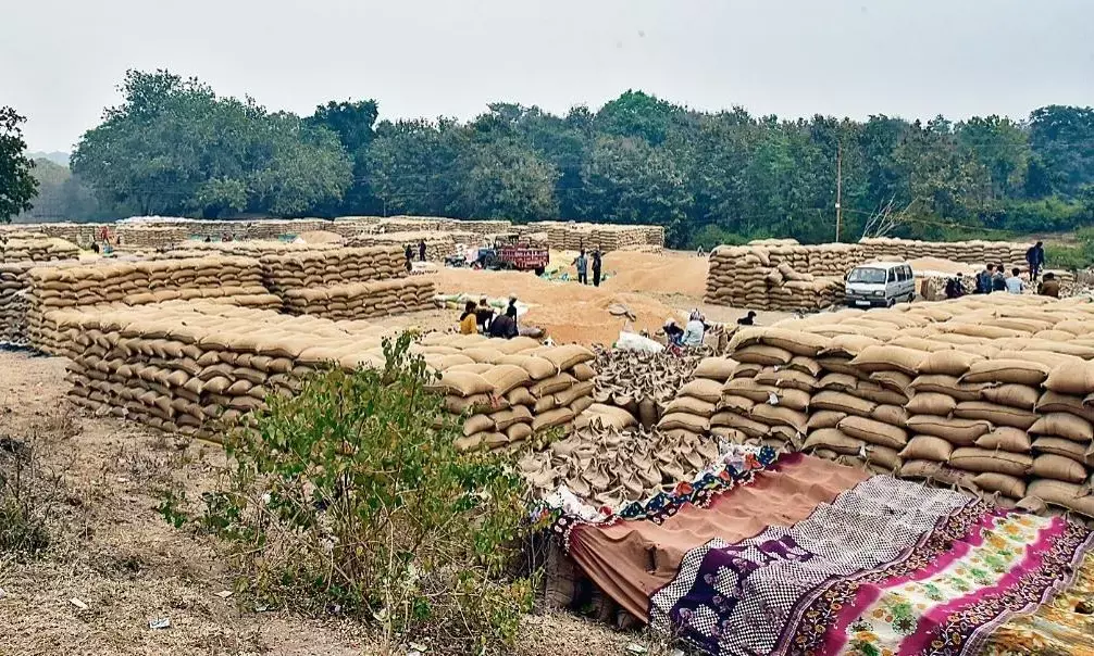 करोड़ों रुपयों की धान बाहर ही पड़ी रह गई, अब बढ़ा सड़ने का खतरा