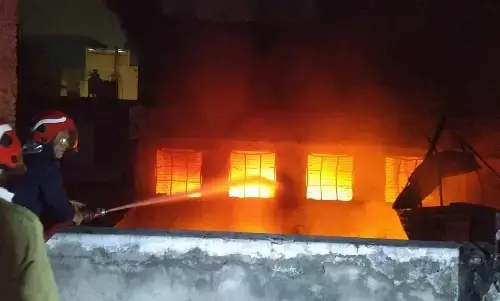 दिल्ली की पेंट फैक्ट्री में लगी भीषण आग, 7 लोगों की मौत, एक महीने में आगजनी की पांचवी घटना
