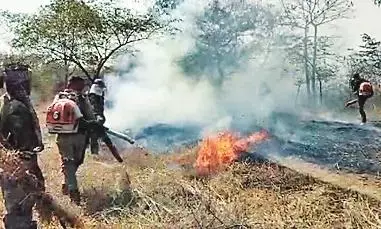 धधकती रही आग, गोरेवाड़ा जू में एक साथ कई स्थानों पर धुआं-धुआं 50 हेक्टेयर खाक धधकती रही आग, गोरेवाड़ा जू में एक साथ कई स्थानों पर धुआं-धुआं 50 हेक्टेयर खाक