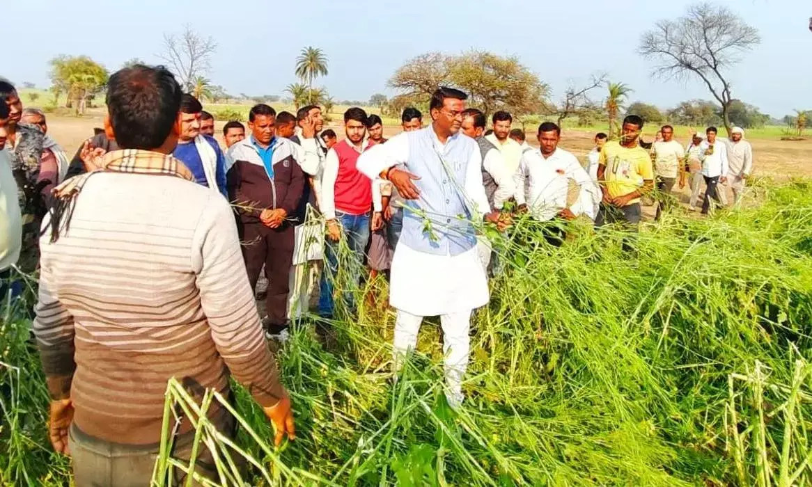 किसानों को ओलावृष्टि से प्रभावित फसलों का मुआवजा मिलेगा : राज्यमंत्री अहिरवार